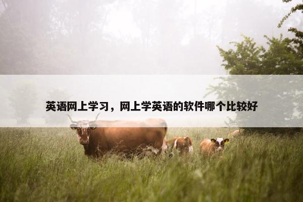 英语网上学习，网上学英语的软件哪个比较好