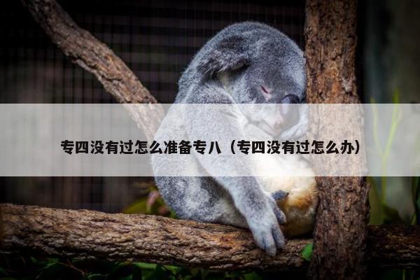专四没有过怎么准备专八（专四没有过怎么办）