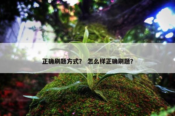 正确刷题方式？ 怎么样正确刷题？