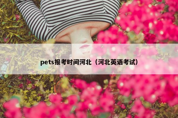 pets报考时间河北（河北英语考试）