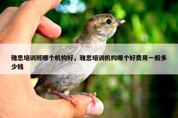 雅思培训班哪个机构好，雅思培训机构哪个好费用一般多少钱