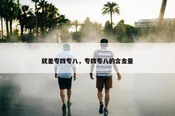 就差专四专八，专四专八的含金量