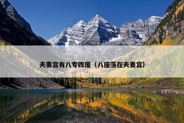 夫妻宫有八专四废（八座落在夫妻宫）