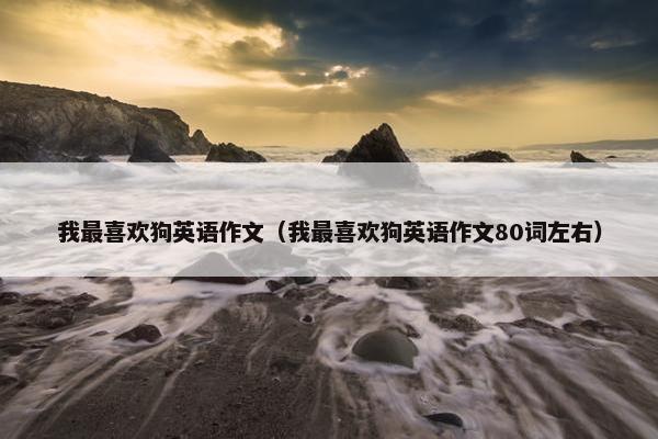 我最喜欢狗英语作文（我最喜欢狗英语作文80词左右）
