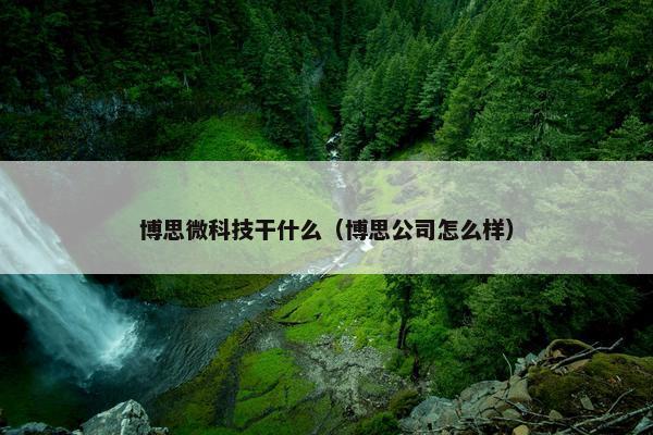 博思微科技干什么（博思公司怎么样）