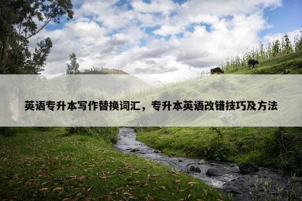 英语专升本写作替换词汇，专升本英语改错技巧及方法