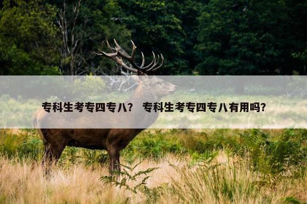 专科生考专四专八？ 专科生考专四专八有用吗？