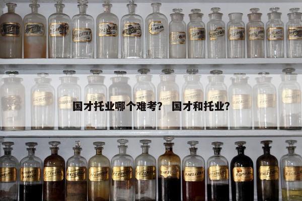 国才托业哪个难考？ 国才和托业？