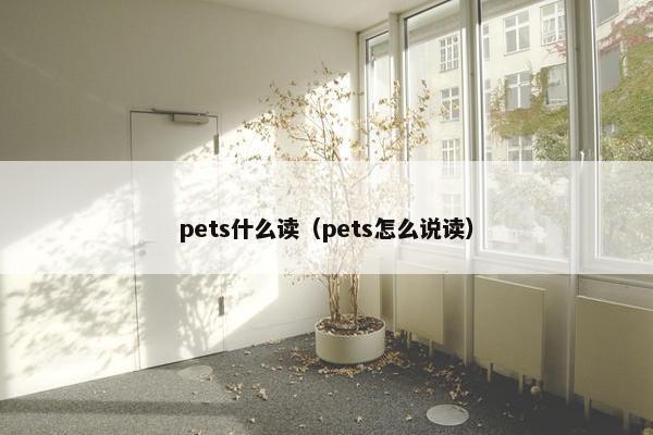 pets什么读（pets怎么说读）