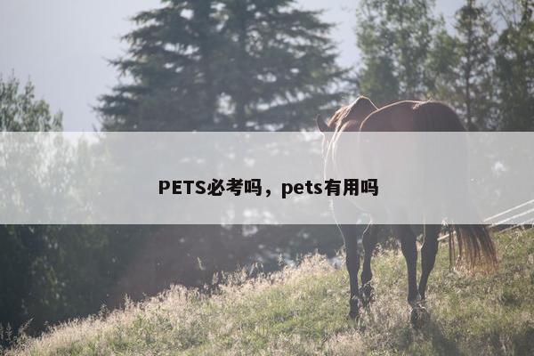 PETS必考吗，pets有用吗