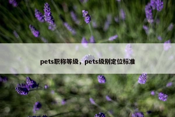 pets职称等级，pets级别定位标准