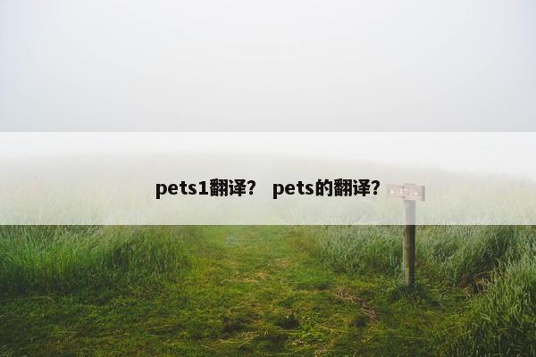 pets1翻译？ pets的翻译？