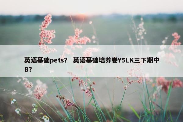 英语基础pets？ 英语基础培养卷Y5LK三下期中B？