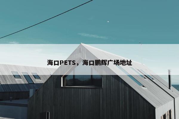 海口PETS，海口鹏辉广场地址