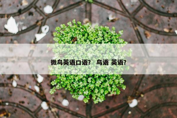 微鸟英语口语？ 鸟语 英语？