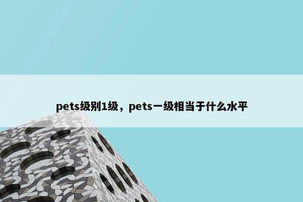pets级别1级，pets一级相当于什么水平