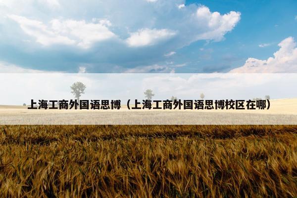 上海工商外国语思博（上海工商外国语思博校区在哪）