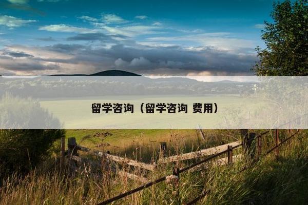 留学咨询（留学咨询 费用）