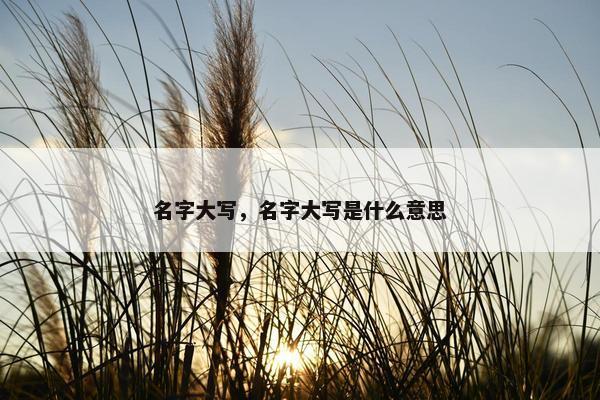 名字大写，名字大写是什么意思