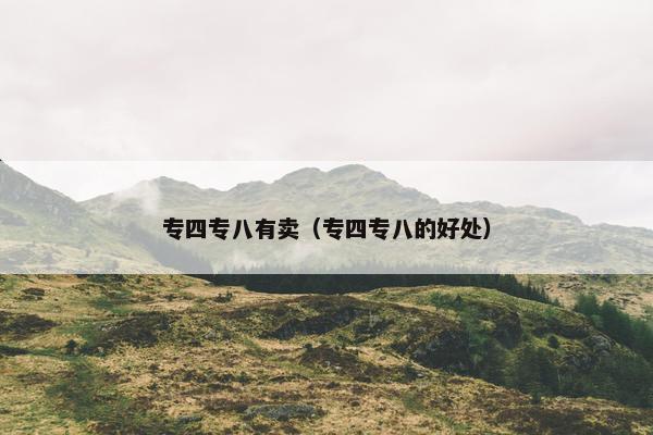 专四专八有卖（专四专八的好处）