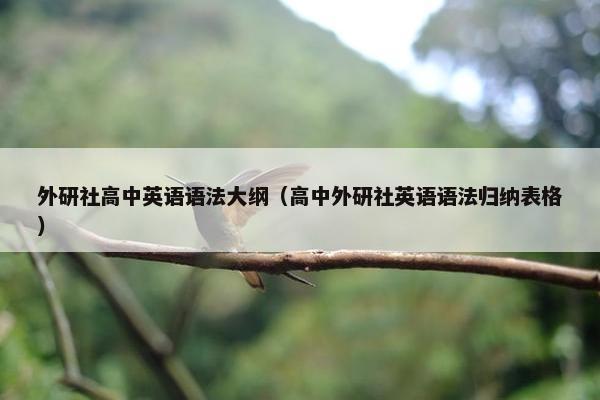 外研社高中英语语法大纲（高中外研社英语语法归纳表格）