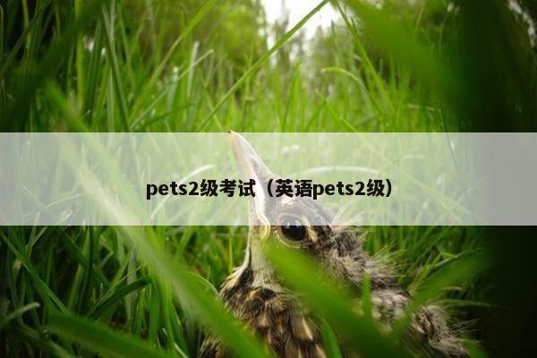 pets2级考试（英语pets2级）