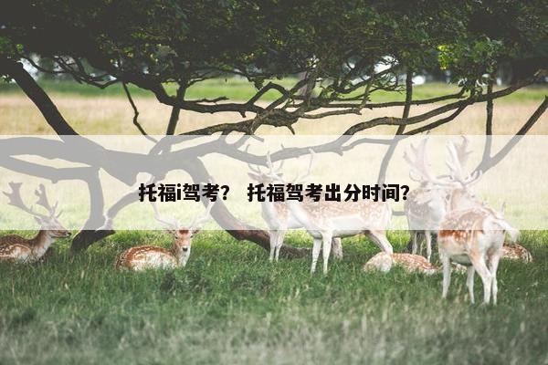 托福i驾考？ 托福驾考出分时间？