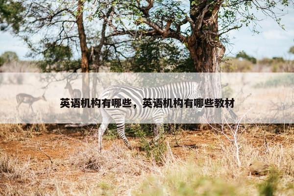 英语机构有哪些，英语机构有哪些教材