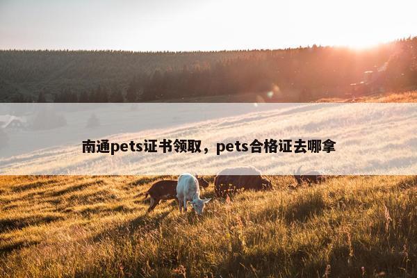 南通pets证书领取，pets合格证去哪拿