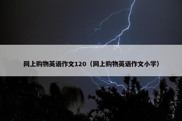 网上购物英语作文120（网上购物英语作文小学）