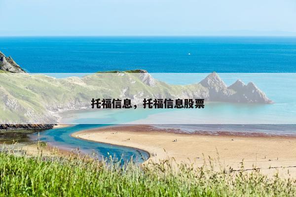 托福信息，托福信息股票
