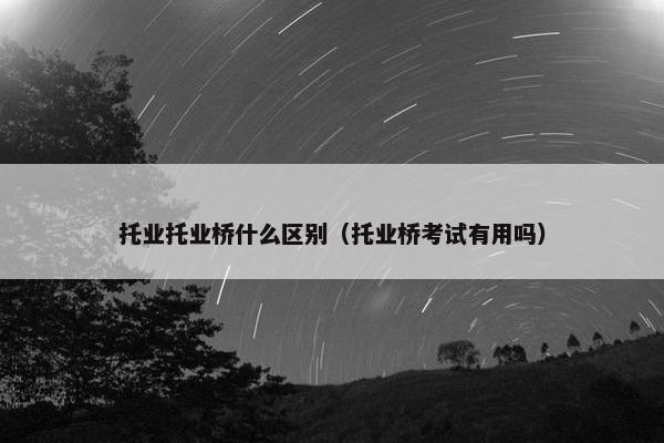 托业托业桥什么区别（托业桥考试有用吗）