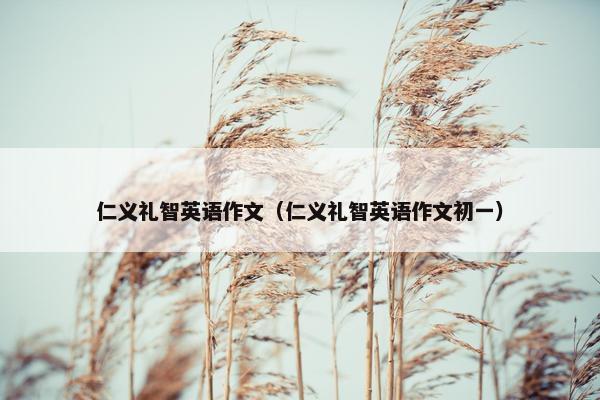 仁义礼智英语作文（仁义礼智英语作文初一）