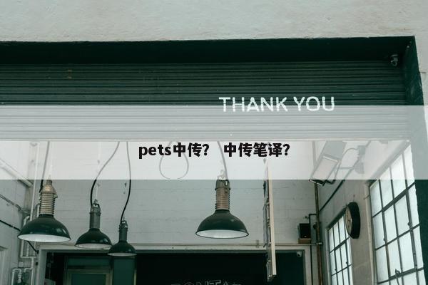 pets中传？ 中传笔译？