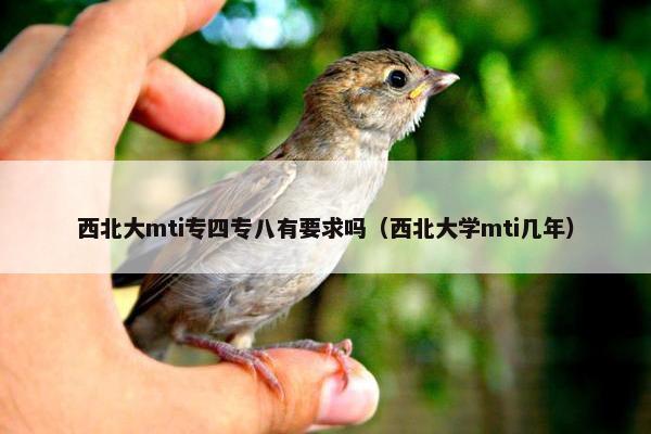 西北大mti专四专八有要求吗（西北大学mti几年）
