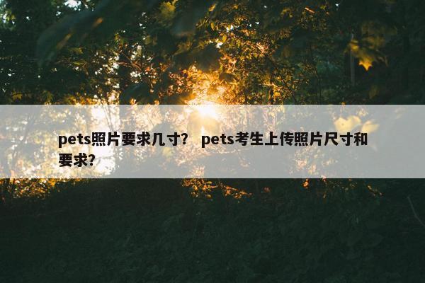 pets照片要求几寸？ pets考生上传照片尺寸和要求？