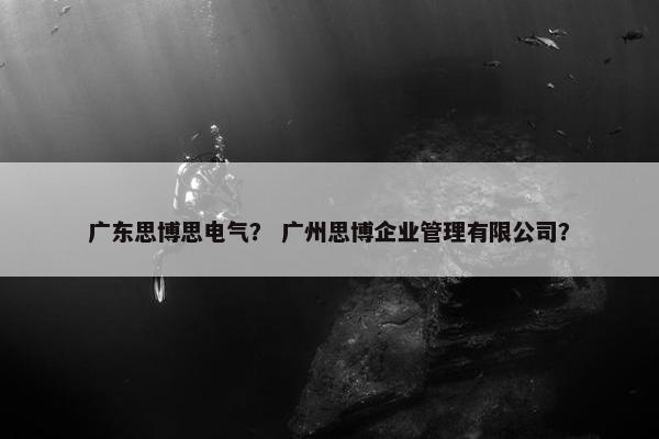 广东思博思电气？ 广州思博企业管理有限公司？