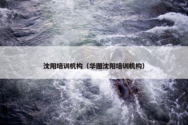 沈阳培训机构（华图沈阳培训机构）