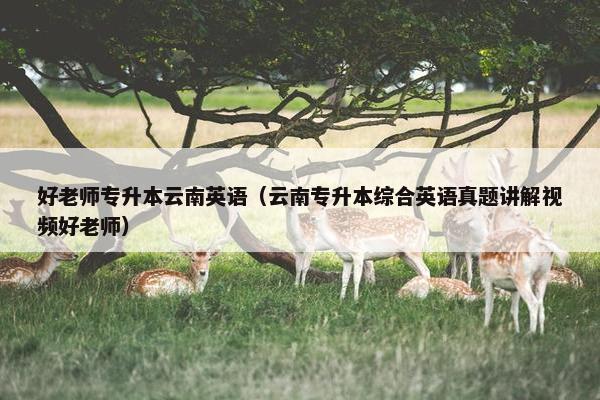 好老师专升本云南英语（云南专升本综合英语真题讲解视频好老师）
