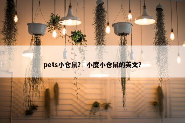 pets小仓鼠？ 小度小仓鼠的英文？