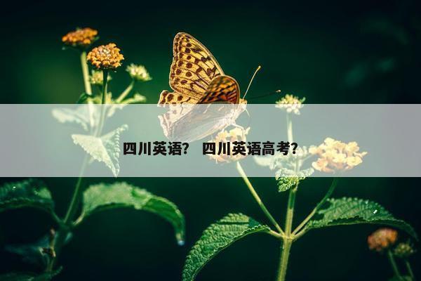 四川英语？ 四川英语高考？