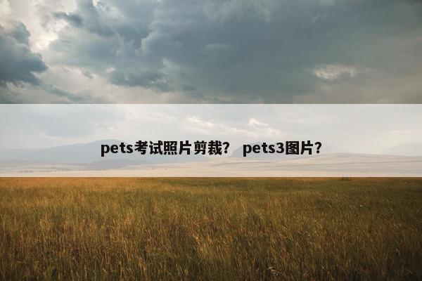 pets考试照片剪裁？ pets3图片？