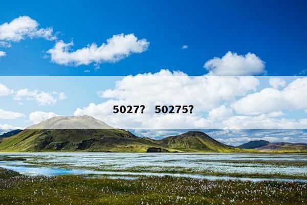 5027？ 50275？