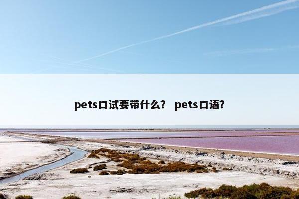 pets口试要带什么？ pets口语？