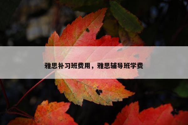 雅思补习班费用，雅思辅导班学费