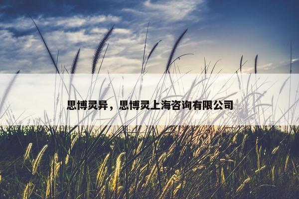 思博灵异，思博灵上海咨询有限公司