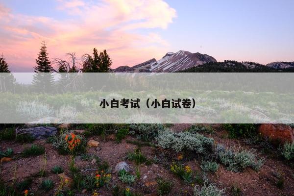 小白考试（小白试卷）