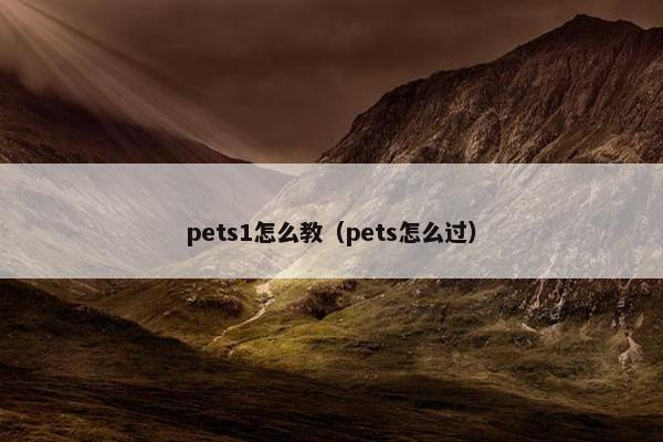 pets1怎么教（pets怎么过）