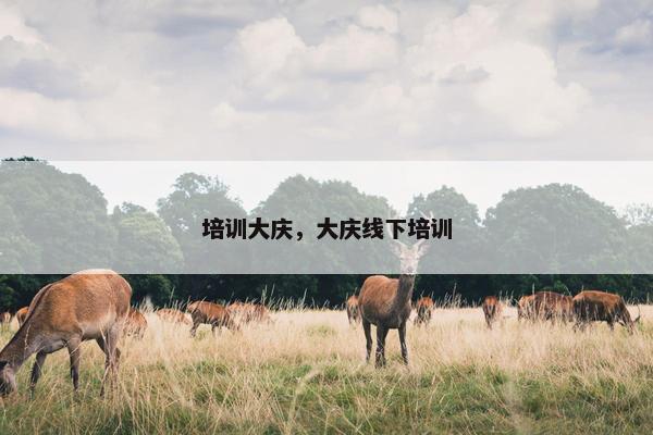 培训大庆，大庆线下培训