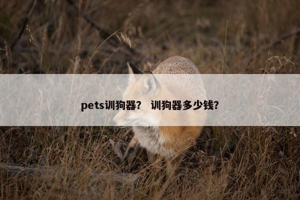 pets训狗器? 训狗器多少钱? pets训狗器? 训狗器多少钱?